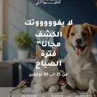 عروض علي منتجات القطط
