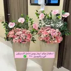 ستاند مواليد