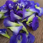 شاهي ازرق 10 أوراق 3 ريال اقل كمية للبيع طازج قطف يومي نضيف