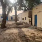 فرصة عقارية للبيع بيت شعبي مؤجر بغقد الكتروني   حوش