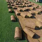 يوجدلديناجميع انواع الثيل الطبيعي الممتاز