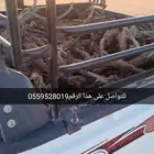 صندوق هايلكس طيب