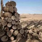 سلام عليكم يوجد اثل يابس شرط