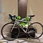 تم البيع تم البيع