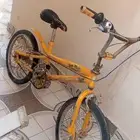 كوبرا اصلي