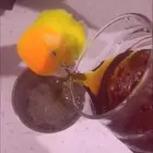 طير روز للبيع