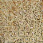 بقلاوه بالمكسرات