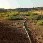 بيوت محمية للأجار او للبيع
