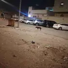 مطلوب مراوح سقف