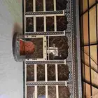 معلم مشبات رخام وشويات وافران مشبات طوب حراري