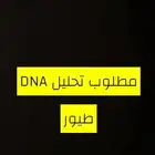 مطلوب تحليل DNAللطيور