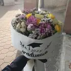 رفيد   توصيل  احدرفيده_الواديين_القرعاء  خميس_مشي