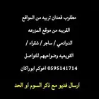 مطلوب قعدان تربيه للتواصل