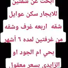 ابحث عن شقتين للايجار