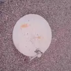 داش حق تلفزيون