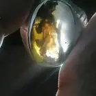 خاتم عقيق من النوادر المصورات