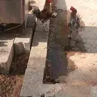 السلام عليكم يوجد لدي دجاج ديوك