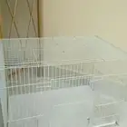 قفص ارنب للبيع