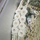 للفل البلدي