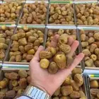 مشاء الله سكري مفتل تمر حق سنه هاذي بسعار مناسبه
