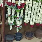 فل الرياض