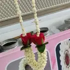 بيع فل وورد وكادي