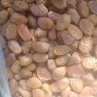 خلاص فاخر