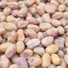 خلاص فاخر حبه طيبه