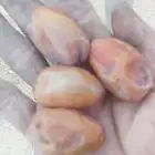 خلاص فاخر حبه كبير