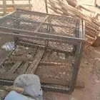 القفص5