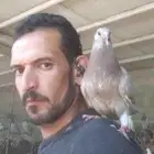 خبير فى مجال الحمام