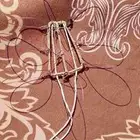 محانيب صقور