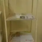 اثنين استندر طيور