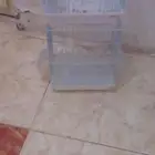 صناديق عصافير للبيع