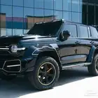 Modified Shadow Tank 300 China Edition
