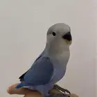 للبيع روز اليف وهدد