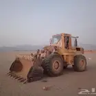 شيول إيجار