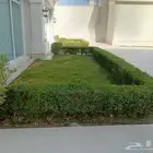 تنسيق حدائق وشبكات الري العادي الاتوماتيكية