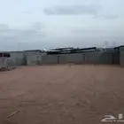 حوش غنم للايجار في المدينة المنورة
