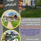 رمل السيليكا وكربونات الكالسيوم جودة عالية
