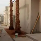 نخل عربي وشنطني وترحيل الميته وقص اليابس أسعارنا مناسبه