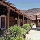 باحث عن تبني جميع أنواع الحيوانات الأليفة