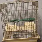 للبيع مجموعة اقفاص طيور