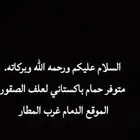حمام باكستاني علف للصقور