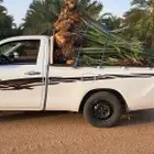 موجود فسايل النخل برحي سقعي مجدول سكري