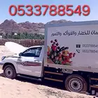 مندوب عتيق من القصيم الي الرياض نقل مبرد