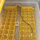 فقاصه للبيع