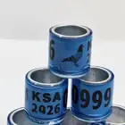 حجول حمام 2026