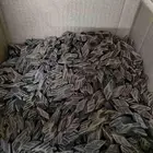 بخور فخامه