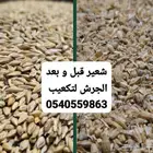 شعير مجروش